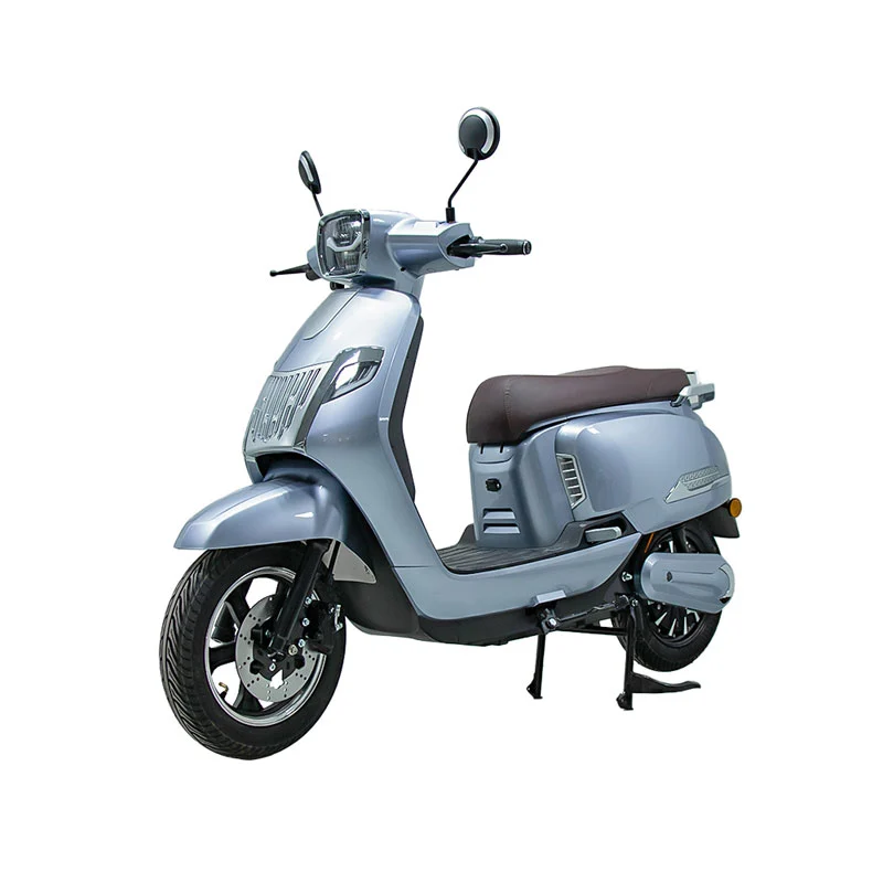 Electric Motorbike for Adults 10 Inch 800W Motorcycle Electric Motorbike for Adults 10 Inch 800W Motorcycle