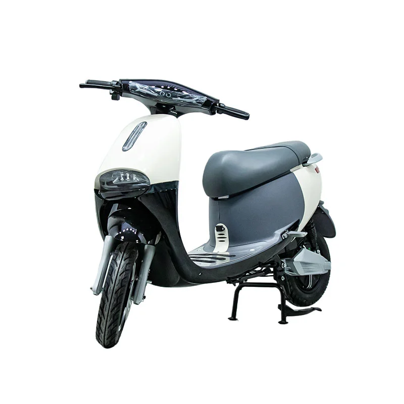 Electric Motorbike with 10 Inch 1000W Motorcycle Electric Motorbike with 10 Inch 1000W Motorcycle